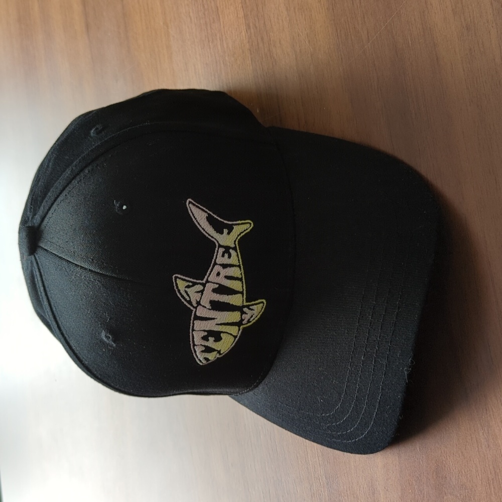 NWT - Tentree baseball hat in black